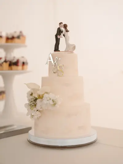 wedding cake 281